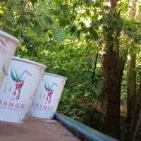 سفرباشمادرشبانه روز مشهدبه شهرستان،توریستی،گردشگری