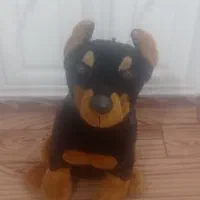 سگ وکت وشلوار