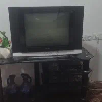 تلویزیون