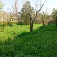 باغ فروشی ۵۰۰ متر  دور دیوار شاهنامه ۳۶