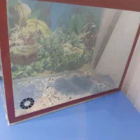 اکواریوم کم کار کرده وسالم