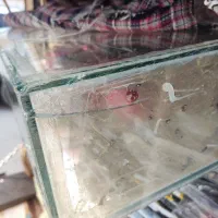 آکواریوم|ماهی|مشهد, خواجه ربیع|دیوار