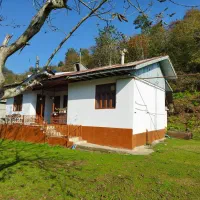 ویلا سنتی تک خوابه نیلاش|اجارهٔ کوتاه‌مدت ویلا و باغ|شاندرمن, |دیوار