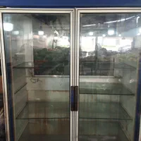 یخچال دودرب زیر صفر