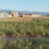 مسکونی-داخل-بافت