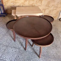 جلو مبلی وگل میز چوبی رنگی