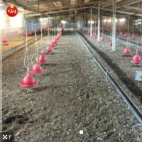 نیروی کار در مرغداری