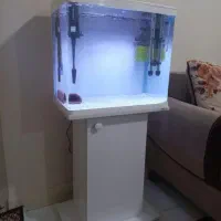 اکواریوم تمیز