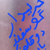 ۱۰ راس گوسفند میش دوقلو زا با بره