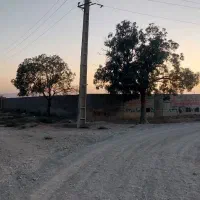 ۲۹۰متر چسب بافت سهیلیه زعفرانیه اقبالیه دولت آباد|فروش زمین و ملک کلنگی|کرج, گلشهر|دیوار