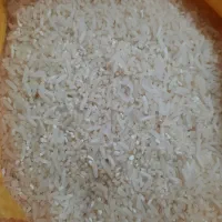 میانباری طارم درجه ۱ ۶۰ ۷۰ درصد برنج سالم