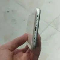 آیفون 11|موبایل|سلماس, |دیوار