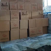 پخش تخم مرغ