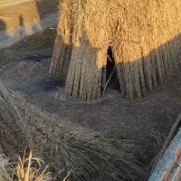 تخریب ساختمان خاکبرداری خریدساختمان قدیمی|خدمات پیشه و مهارت|بندر ترکمن, |دیوار