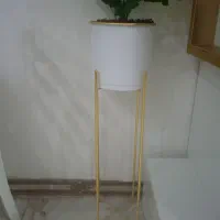 گلدان