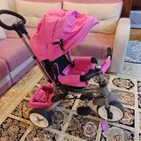 سه چرخه دو طرفه فلامینگو