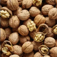 گردو کاغذی شیره انگور تازه قزوین
