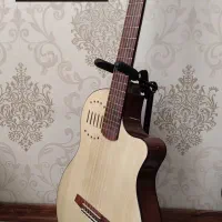 گیتار برای حرفه ای ها