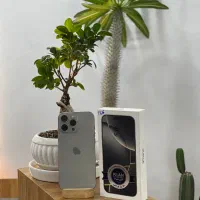 ۱۶پرومکس