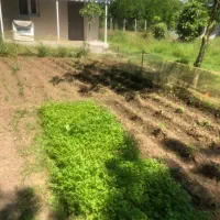 ویلا با دو سوئیت مجزا تهاتر با اپازتمان در تهران