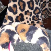 کاپشن تدی|لباس|رشت, دروازه لاکان|دیوار