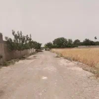 فروش زمین مخصوص باغ و باغچه ۲۵۰ متر به بالا