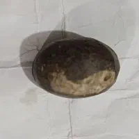 سنگ هبهاب|کلکسیون اشیاء عتیقه|قرچک, مهدیه|دیوار