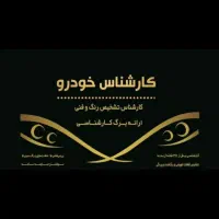 اپتیما*راوفور /کارشناسی خودرو تشخیص رنگ بدنه و فنی