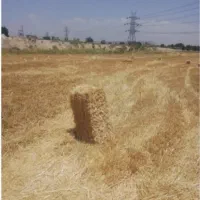 تریلی بارگیری شده|خدمات حمل و نقل|زرین آباد, |دیوار