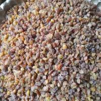 کشمش سایه خشک