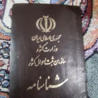 شناسنامه گمشده لطفاً پیدا کردین تماس بگیرید|اشیا|مهران (ایلام), |دیوار