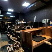 جذب نیرو جهت طلا سازی