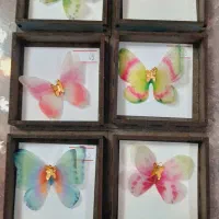 پروانه کادویی(طلا)|جواهرات|تهران, صادقیه|دیوار