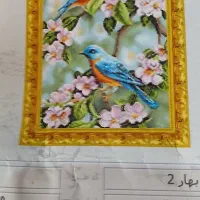 نخ ونقشه
