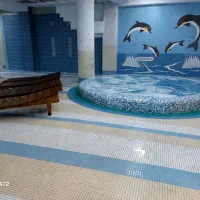 نیروی کار برای استخرناجی آقا و بازاریاب خدمات و...|استخدام سرایداری و نظافت|تهران, بریانک|دیوار