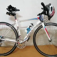 دوچرخه حرفه ای