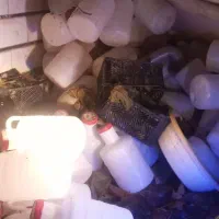 دبه خیارشور|ظروف نگهدارنده، پلاستیکی، یکبارمصرف|کرمانشاه, |دیوار