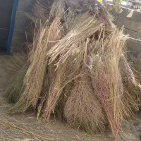 جارو چغندر درجه یک