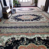 سه تیکه فرش|فرش|سقز, |دیوار