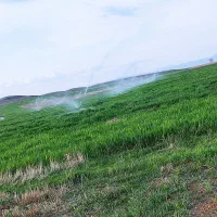 اجاره چاه آب کشاورزی آبیاری پر فشار