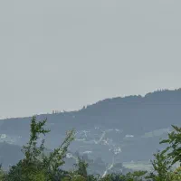 ۱۰۰۰ متر زمین باغ میوه در بابلکنار|فروش دفتر صنعتی، کشاورزی، تجاری|مرزیکلا, |دیوار