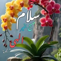 راننده غلطک هستم