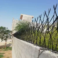 حفاظ شاخه گوزنی|خدمات پیشه و مهارت|بوشهر, |دیوار