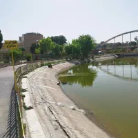 مزایده تجاری اکازیون
