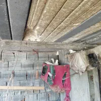 کبوتر