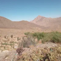 زمین مسکونی  شهر جوپار