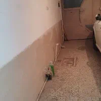 اجاره سوئیت همکف