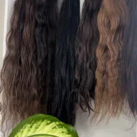 موطبیعی|خدمات آرایشگری و زیبایی|رشت, دخانیات|دیوار