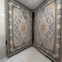 فرش گیلک|فرش|رشت, معلولین|دیوار