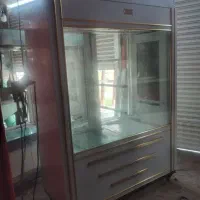 یخچال یخچال دوطرفه نما